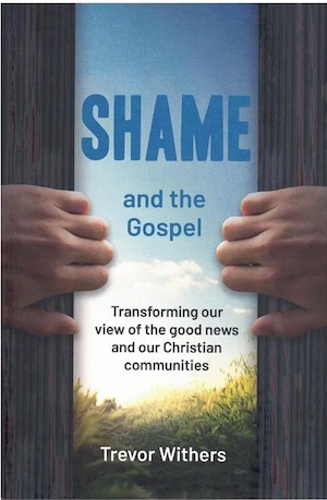 Shame book cover image smaller